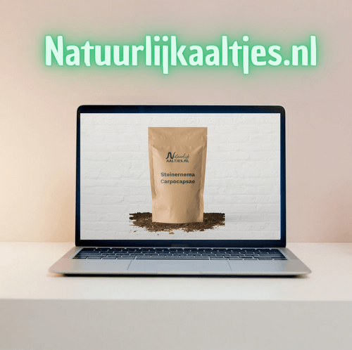 Verbeterde aaltjes webshop