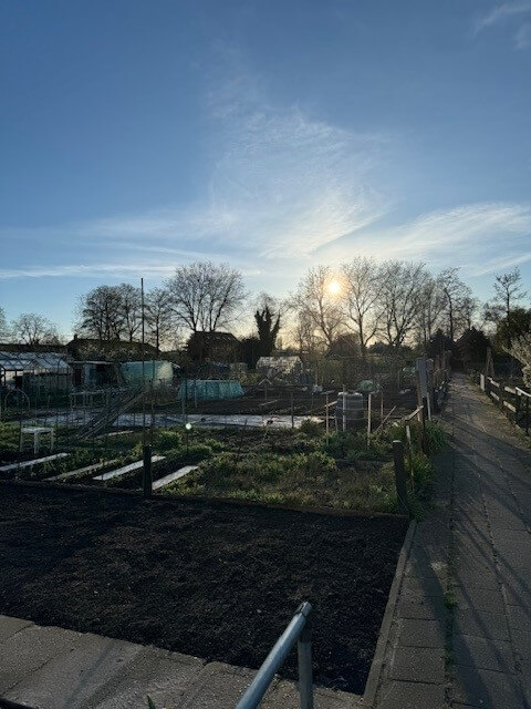 Aaltjes voor moestuin - moestuin