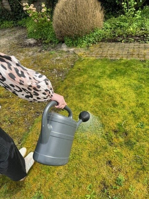 Gele plekken in gras - aaltjes-gieten-gieter-gras