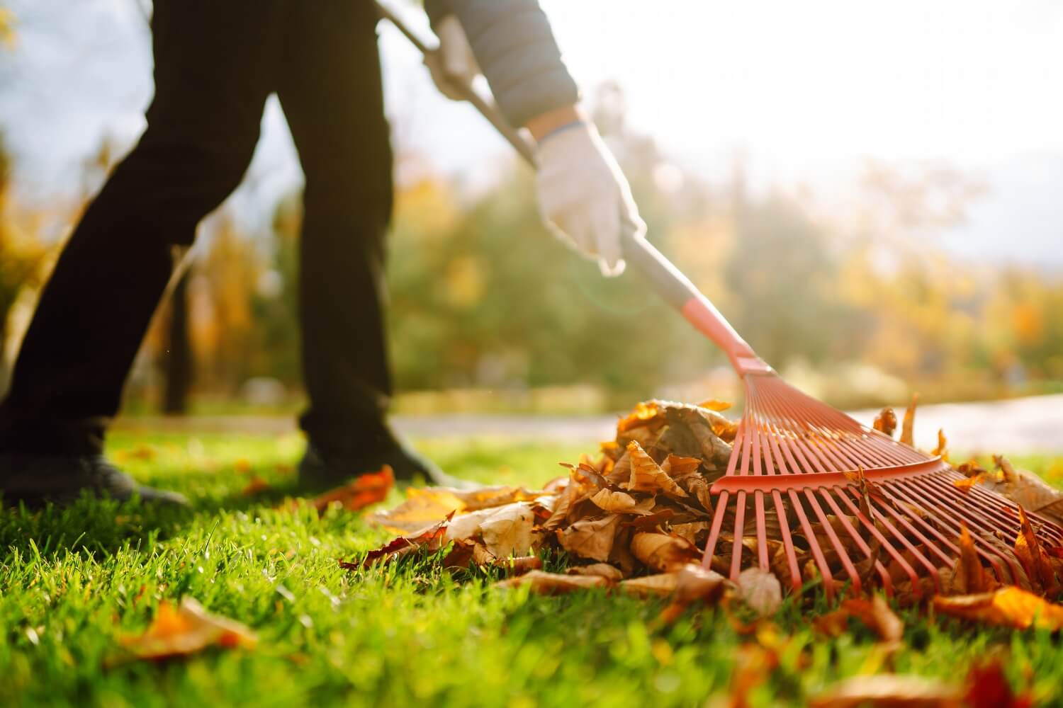 Gele plekken in gras - shutterstock_2204511387